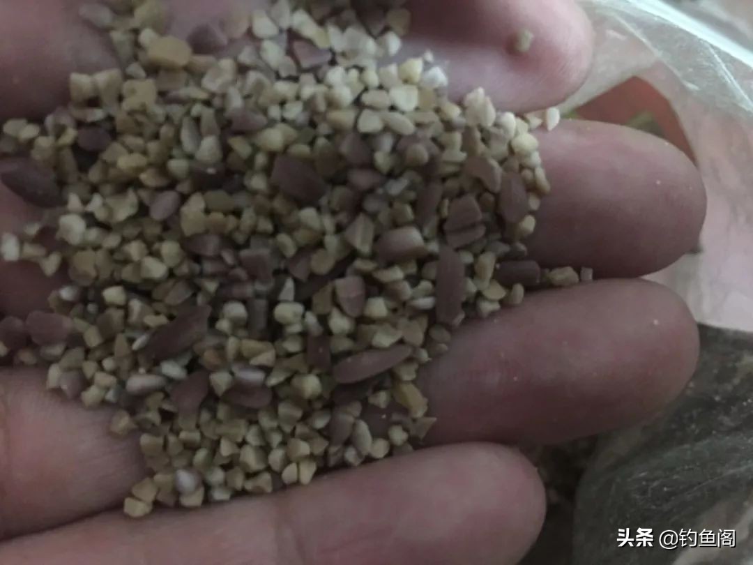 7句常见的渔具广告语，看似很厉害，谁买谁上当！