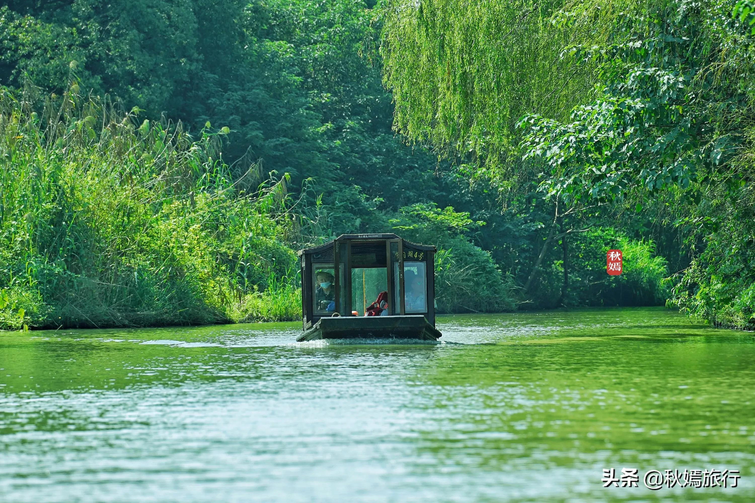 苏州高颜值湿地公园幽静秀美，门票20元超值，是周末亲子游好去处