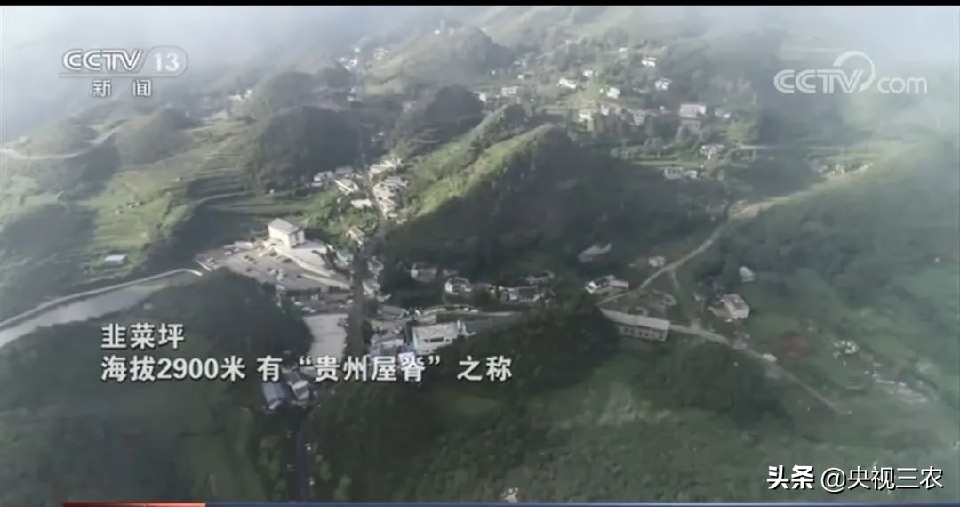 实名羡慕！这位老师带他的学生们在“云端”开了一场摇滚演唱会