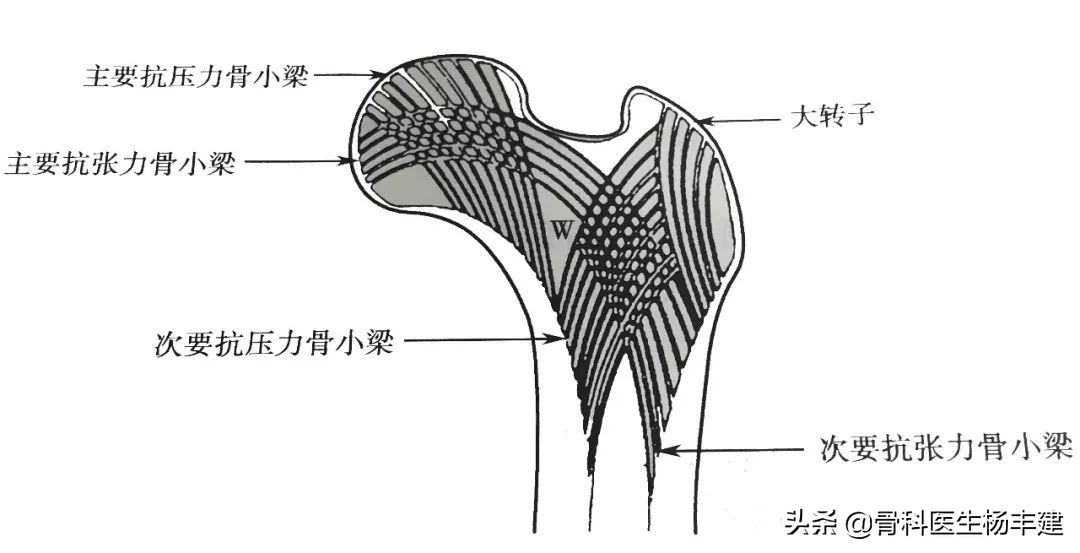 骨折手术愈合后，钢板拆还是不拆？你要的问题答案在这里