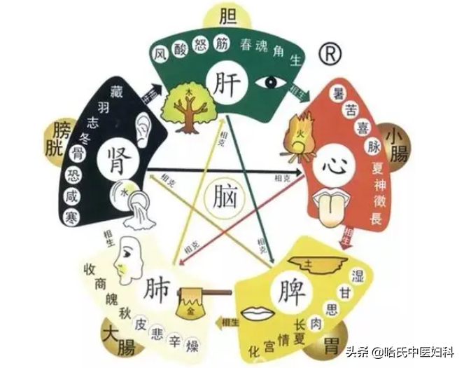 25岁的姑娘，52岁的卵巢？卵巢早衰怎么办？试试这味良方