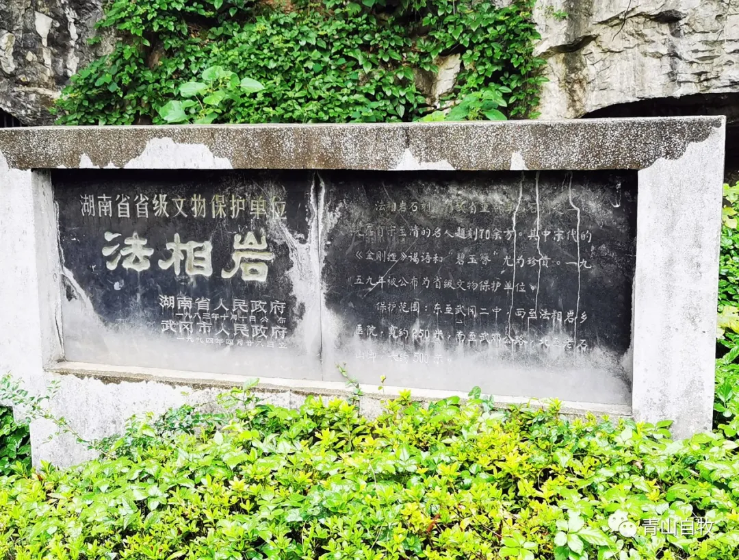 在湘西南,曾有一所黄埔军校第二分校