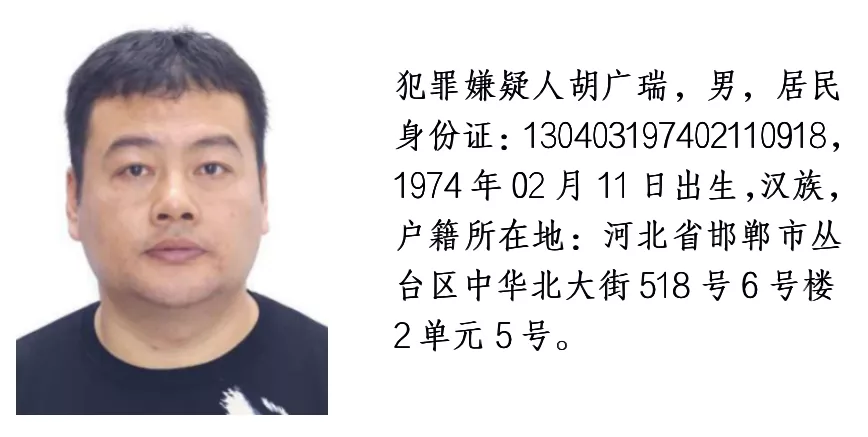 最好的奖励是100万元！我想要1个河北城市，看到这五个速度报警