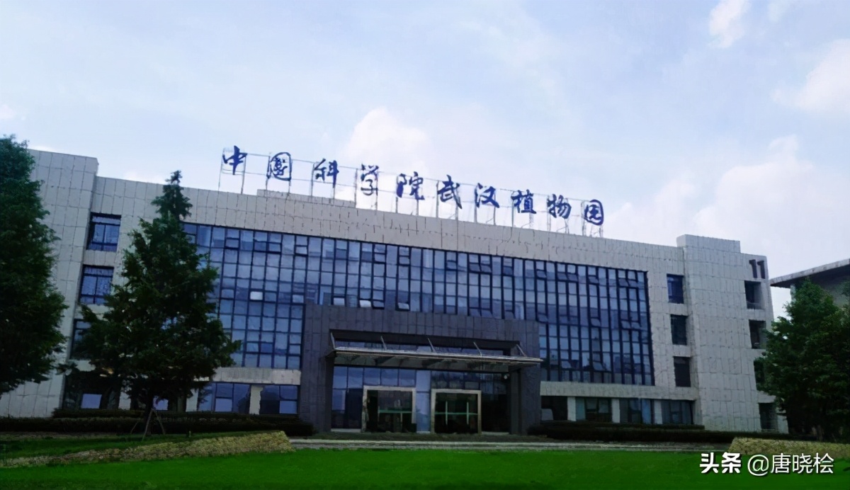 武汉十大旅游必去景点，赶紧先收藏起来呗