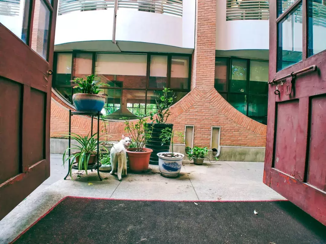 中国春天最美的10座大学，好想回去谈一场恋爱