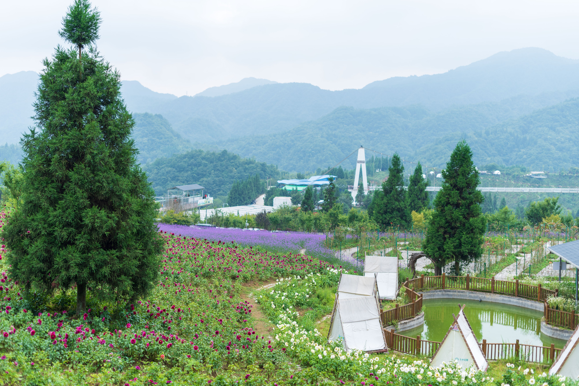 石柱云中花都旅游区图片