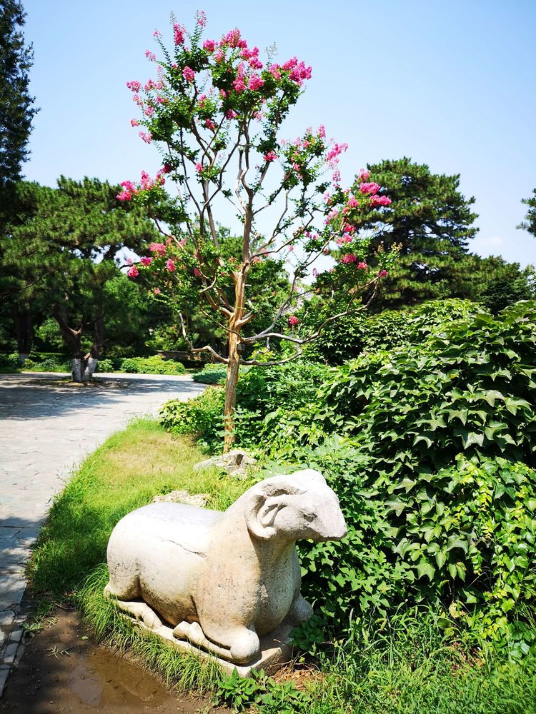 北大印象，漫步北大校园