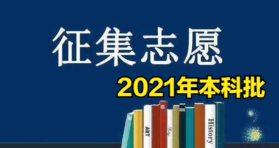 海南大学艺术生好考吗（为何31个计划无人报考）