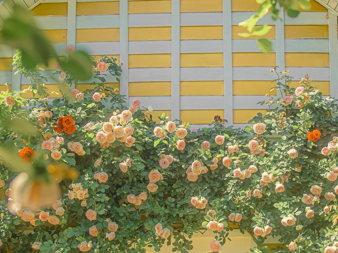 分享4个高效写作方法，适合所有人