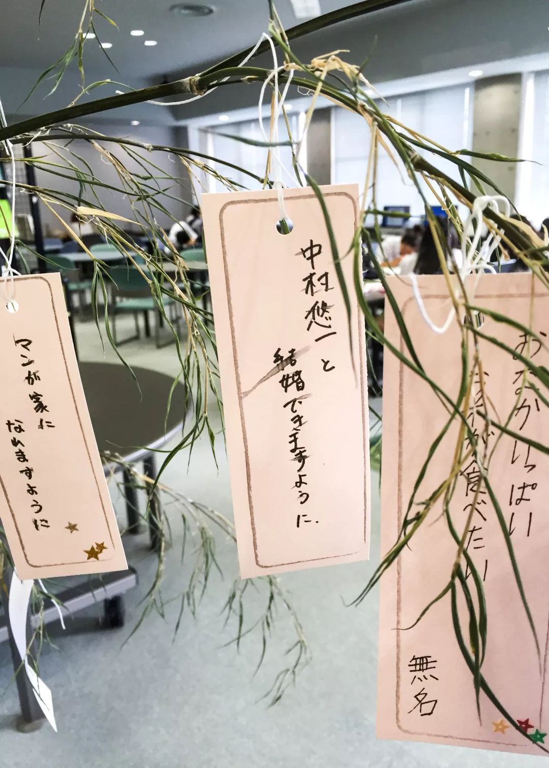 日本艺术大学：京都精华大学—自由之王国