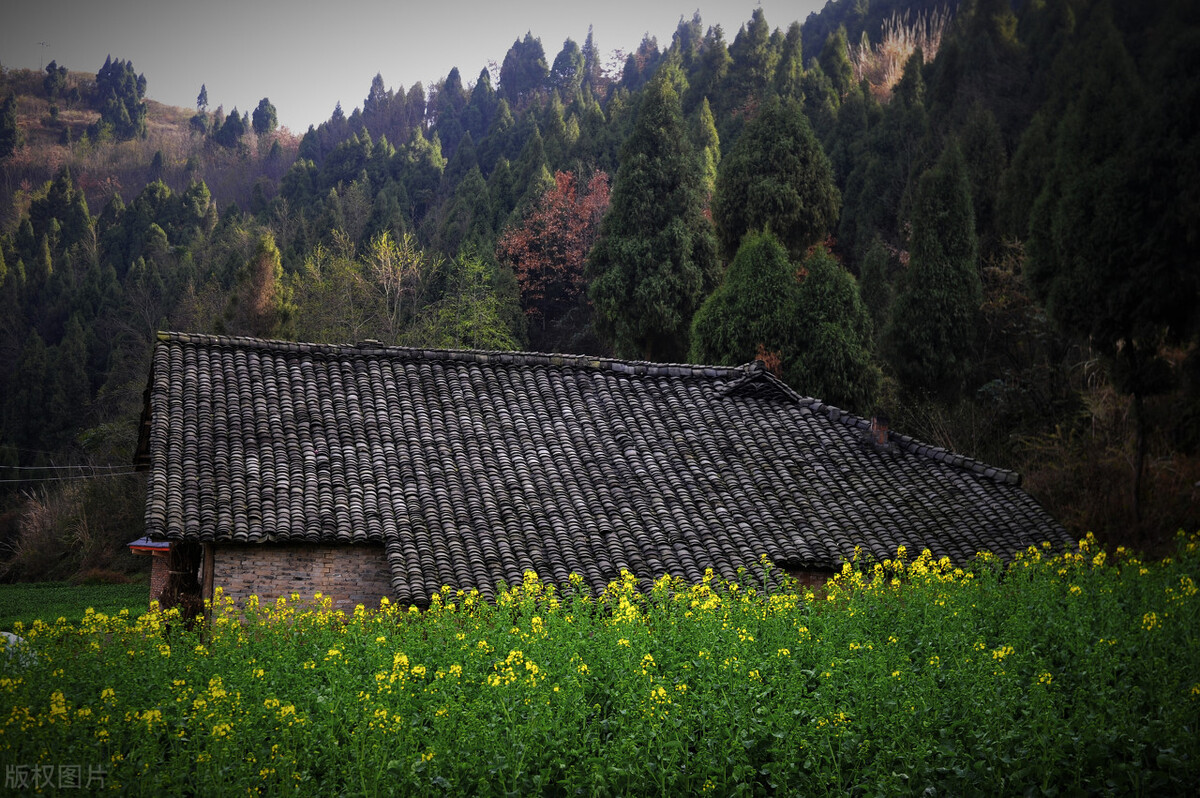 写给我们回不去的童年：此乡已非彼乡，此童已非彼童