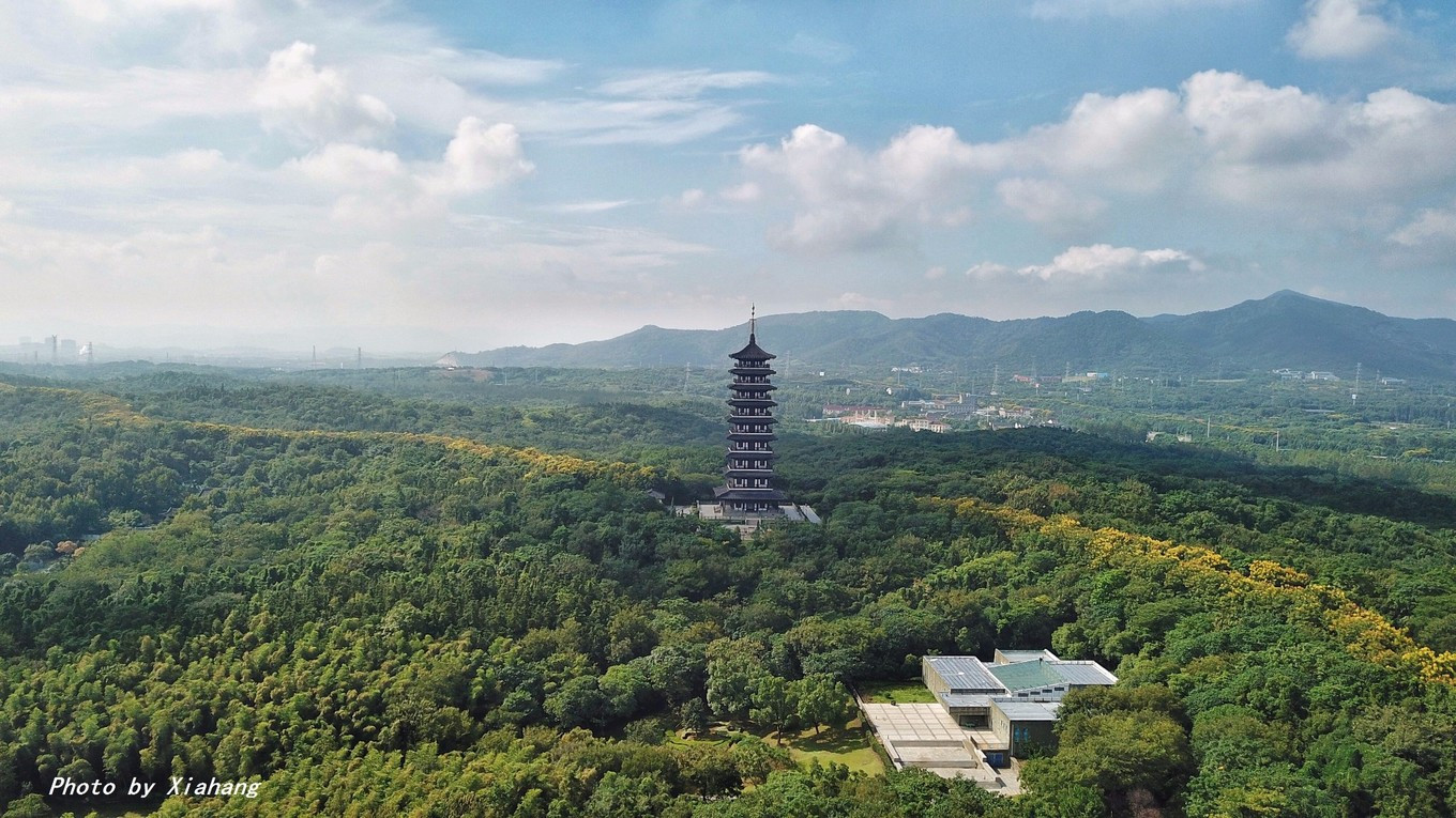 中国著名陶都，不仅是茶的绿洲，而且还是竹的海洋