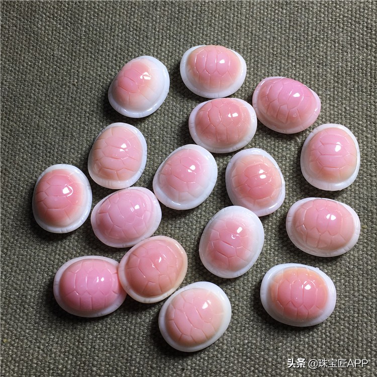 这4种能做珠宝的贝壳你都认识吗？贝壳珠宝大盘点第2弹