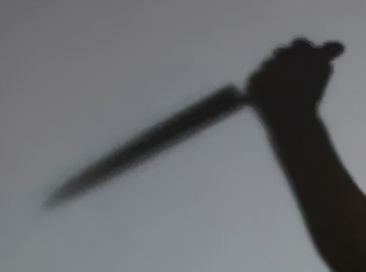 追求女神7年，婚后他却抽出了水果刀……