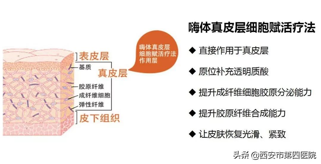 #安心变美课堂##我的安心变美推荐# 颈纹霜对抗颈纹到底有用吗?