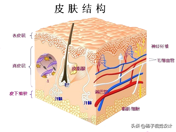 「牙膏皮肤」牙膏可以洗脸吗（好坏处及作用详解）