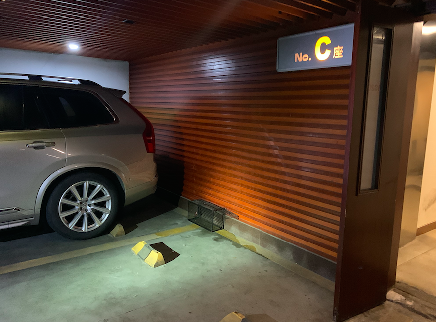 朝陽一小區車庫跳蚤氾濫成災，居民疑心是“它們”惹的禍