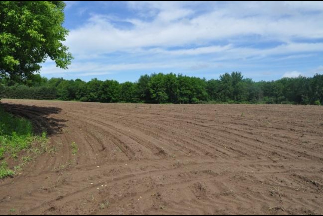 妙算平方米换亩数_加半除三法