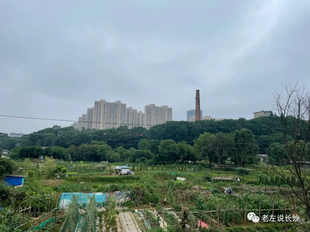 实拍！麓山国际二小、长郡双语谷山中学最新进展