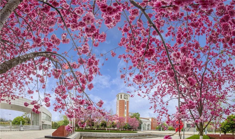 三中论剑 谁与争锋 | 昆明市第三中学第25届青年教师教学竞赛复赛