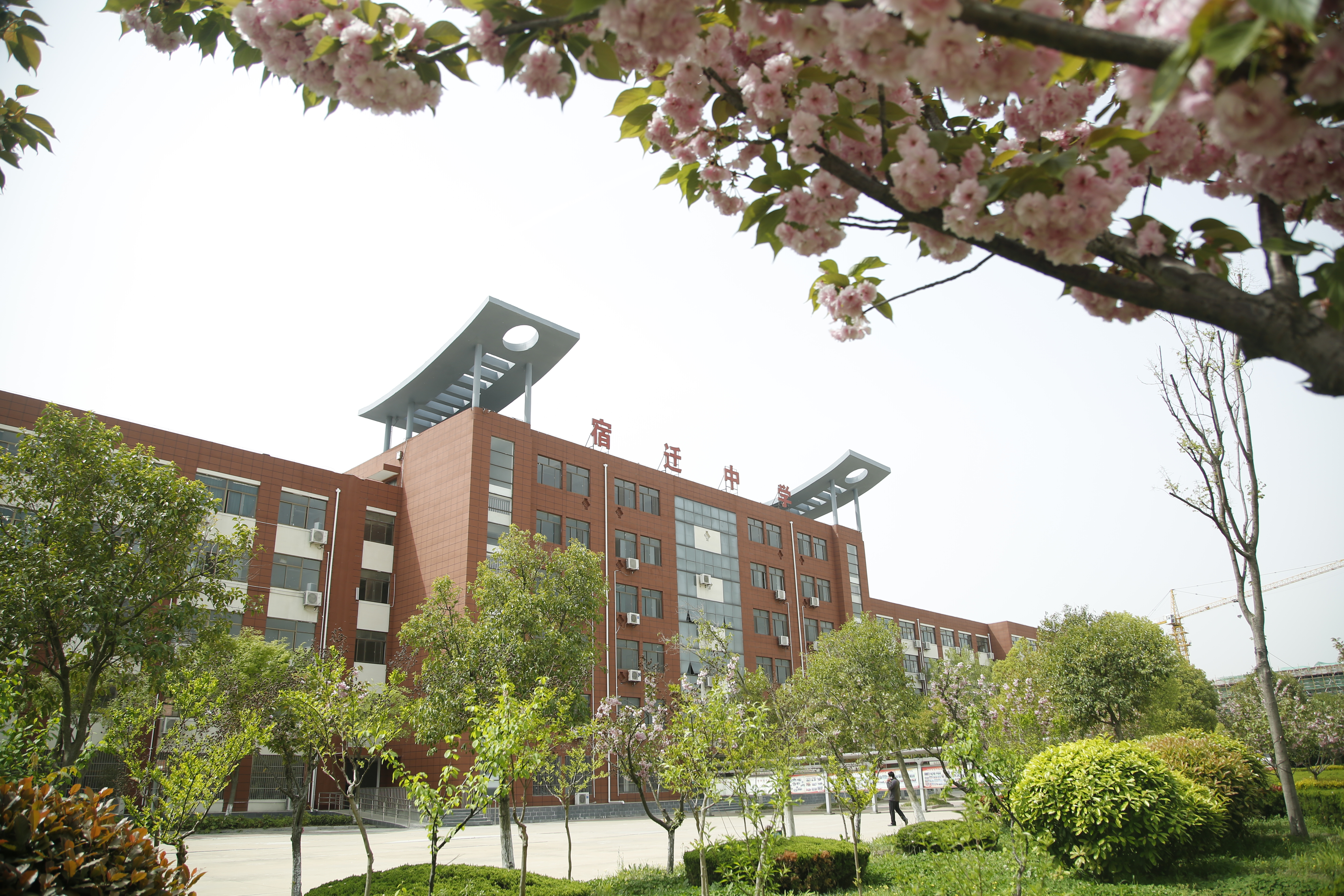 江苏宿迁2020高考，宿迁中学斩获省文科状元，沭阳、泗洪不容小觑