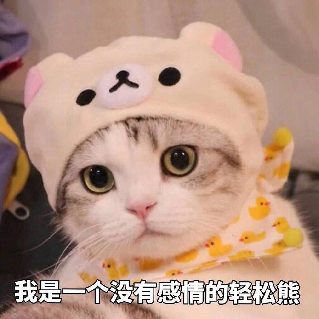喵点爆料