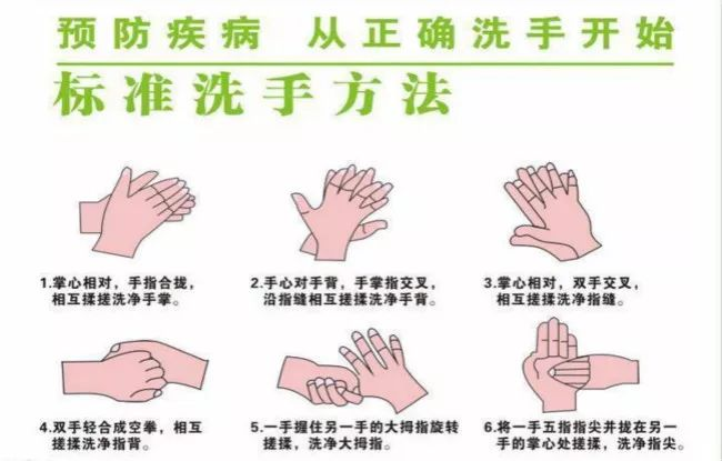 27名学生上吐下泻！“诺如病毒”进入高发期，请这样保护孩子