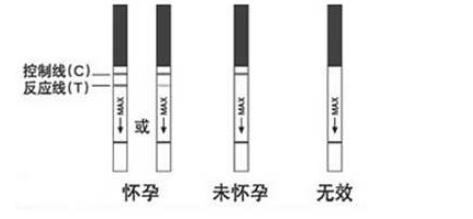 怀孕几天能测出来（一定要等到月经不来才能验孕吗?）-第3张图片