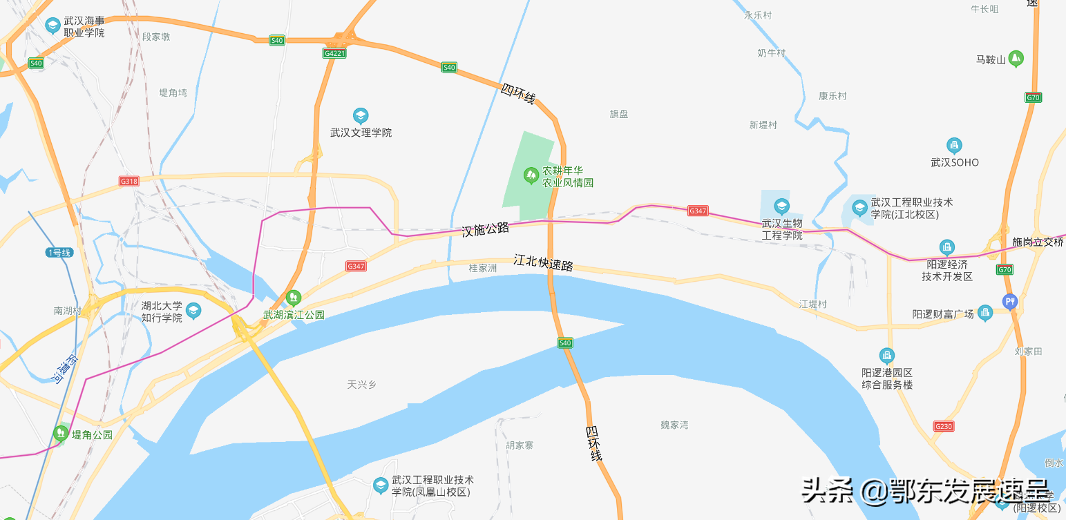 新洲和黄陂可联手建设大汉口大学城，改变武汉高校南强北弱的局面