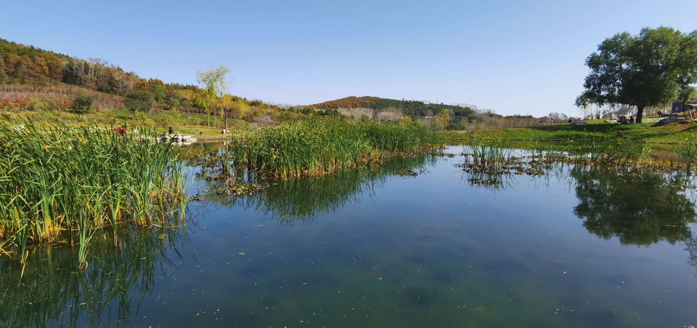 生态鹤岗100篇（57）：我眼中的北山公园