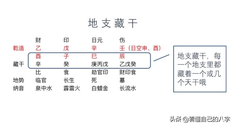 八字中的地支藏干，地支中隐藏的大世界