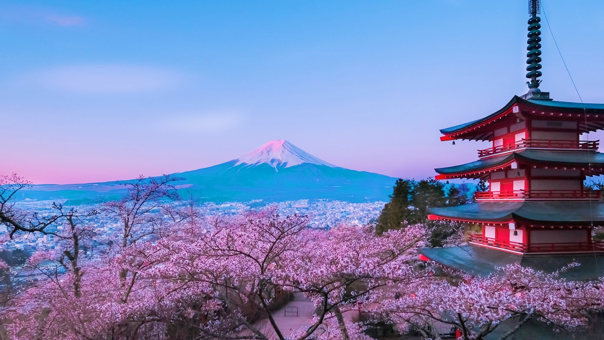富士山下的樱花地点图片