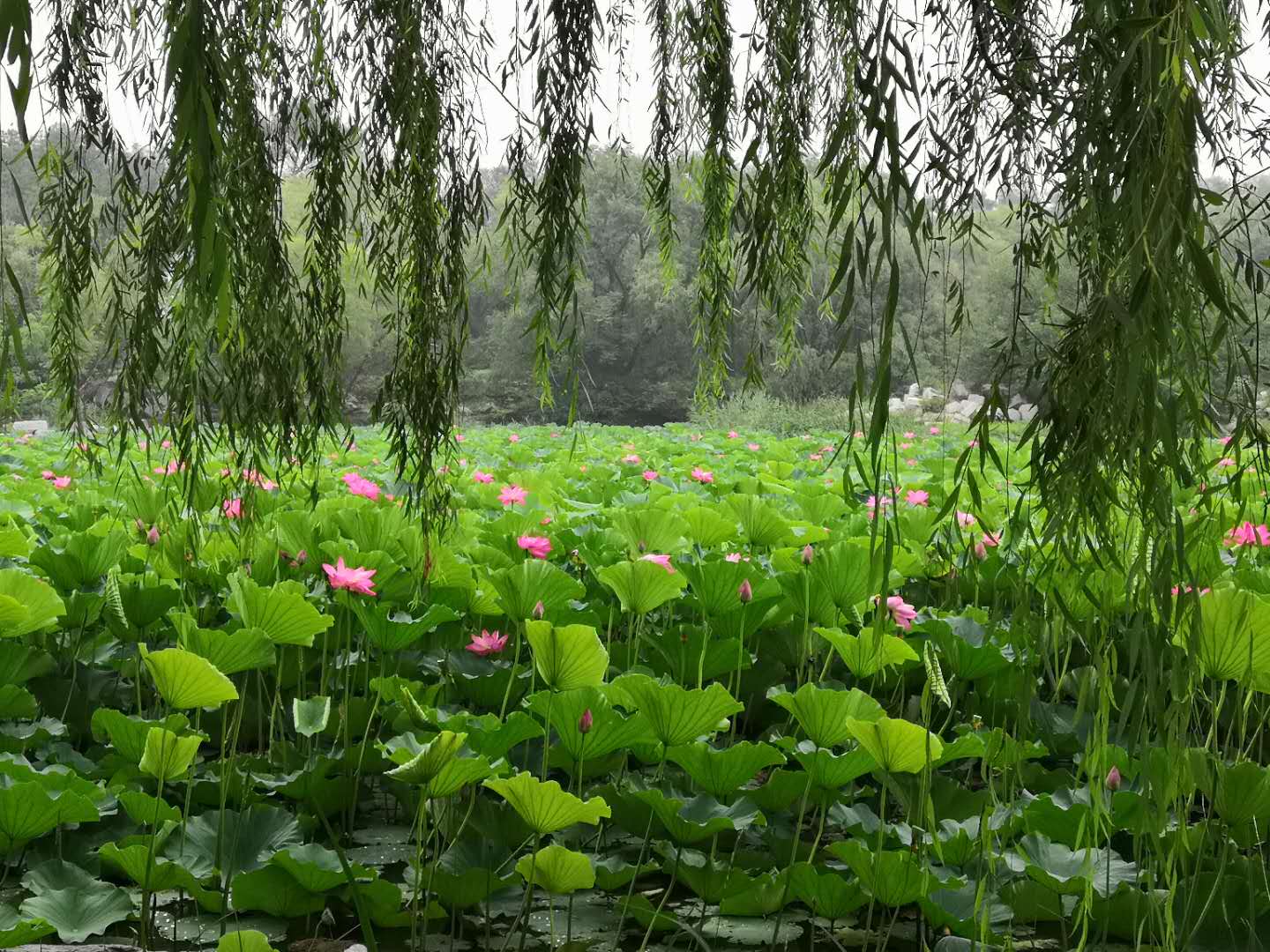 数学太难，想换个专业考研，还来得及吗？来得及