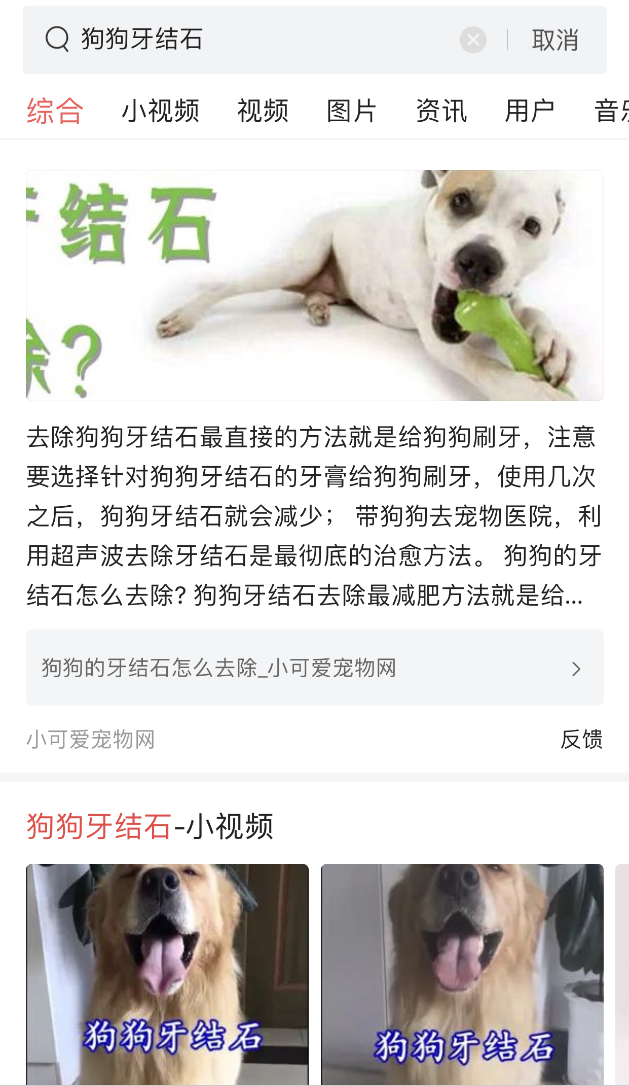 狗狗得了牙结石，刷牙真的有用吗？测评几种洁牙产品