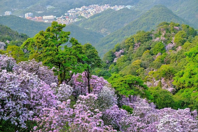深圳免费景点：大梅沙、梧桐山、莲花山等，探秘免费公园！