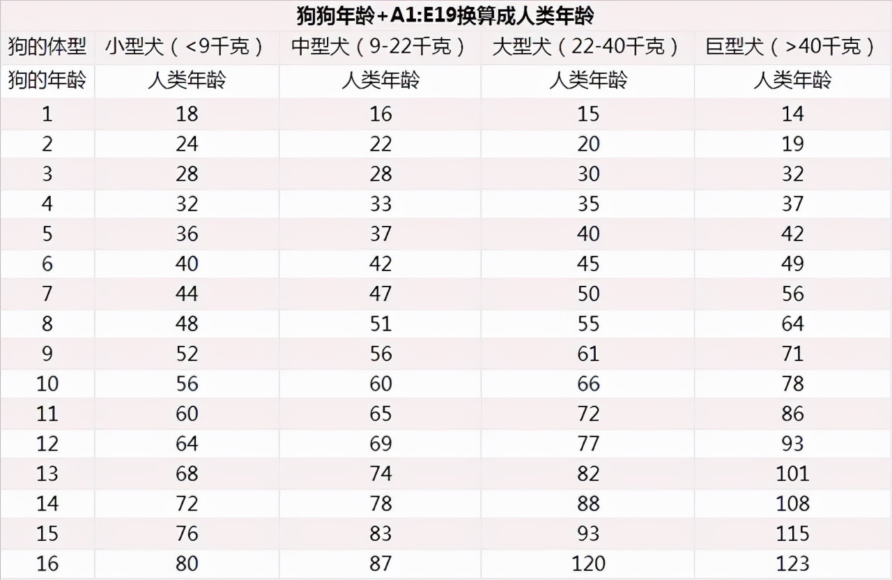 狗狗1岁=人类7岁?附上正确的年龄换算表