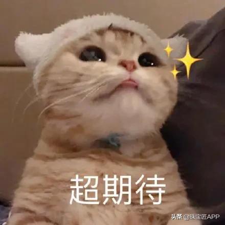 这4种能做珠宝的贝壳你都认识吗？贝壳珠宝大盘点第2弹