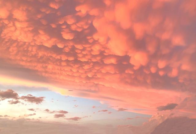 四川大学、天津财经大学分数线全解析！报考这两所的赶快收藏