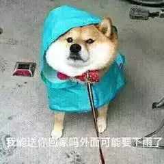 搞笑表情包：我能送你回家吗？可能外面要下雨了