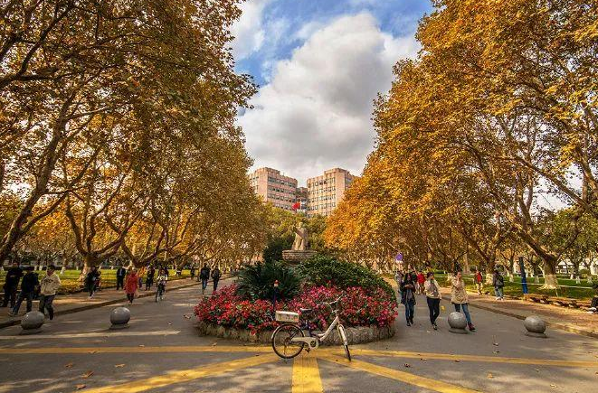 上海考生想要在本地上大学，读复旦、上交、同济，考多少分有希望