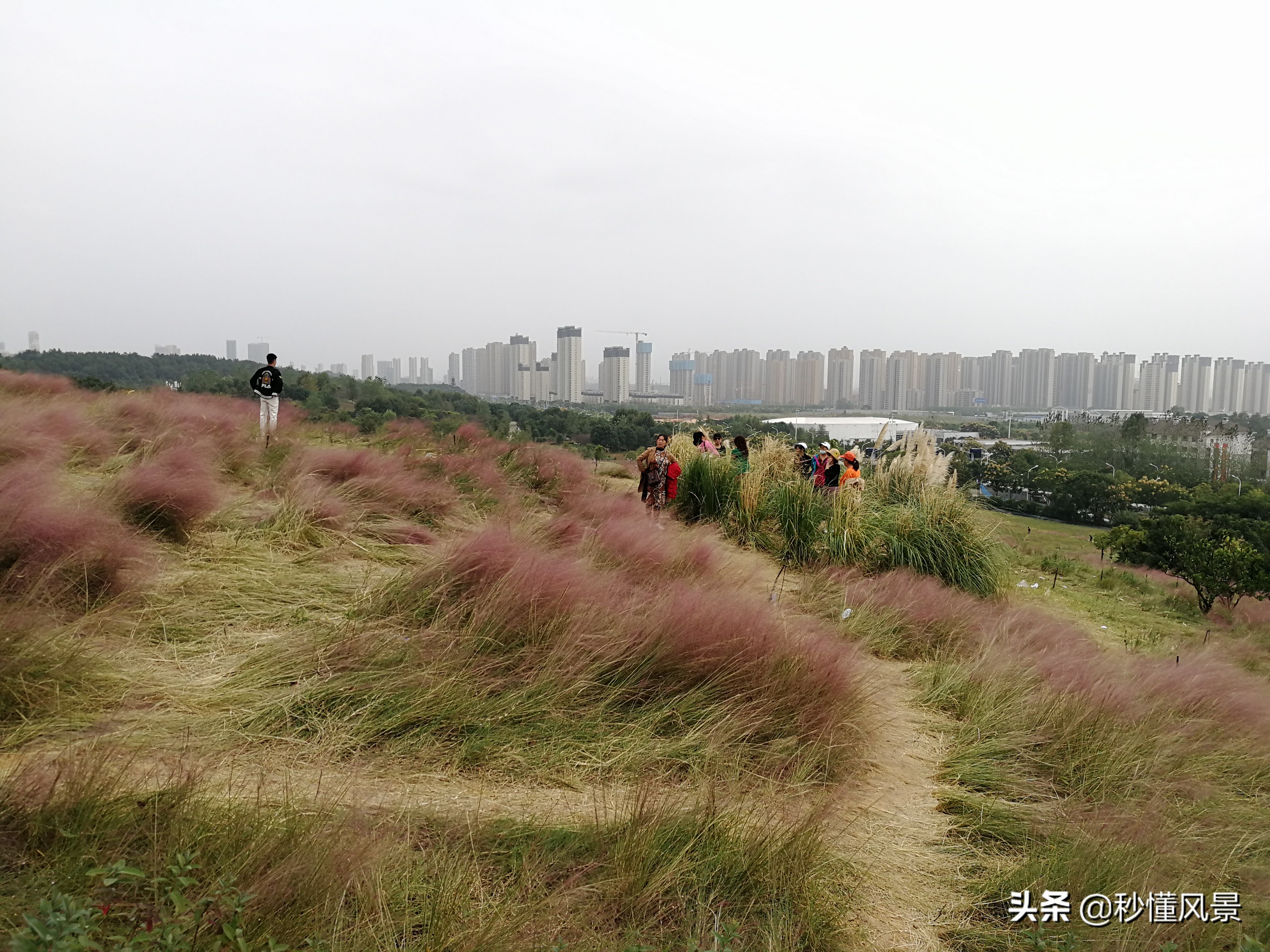 武汉周边带孩子旅游景点推荐(盱眙周边旅游景点适合孩子玩的)