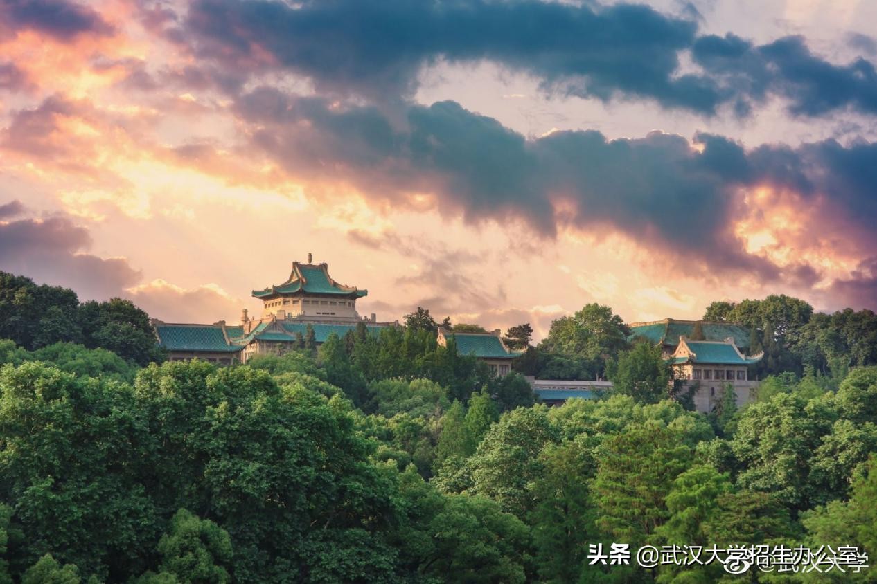 常年霸占热搜的武汉大学，除了樱花，还有什么可