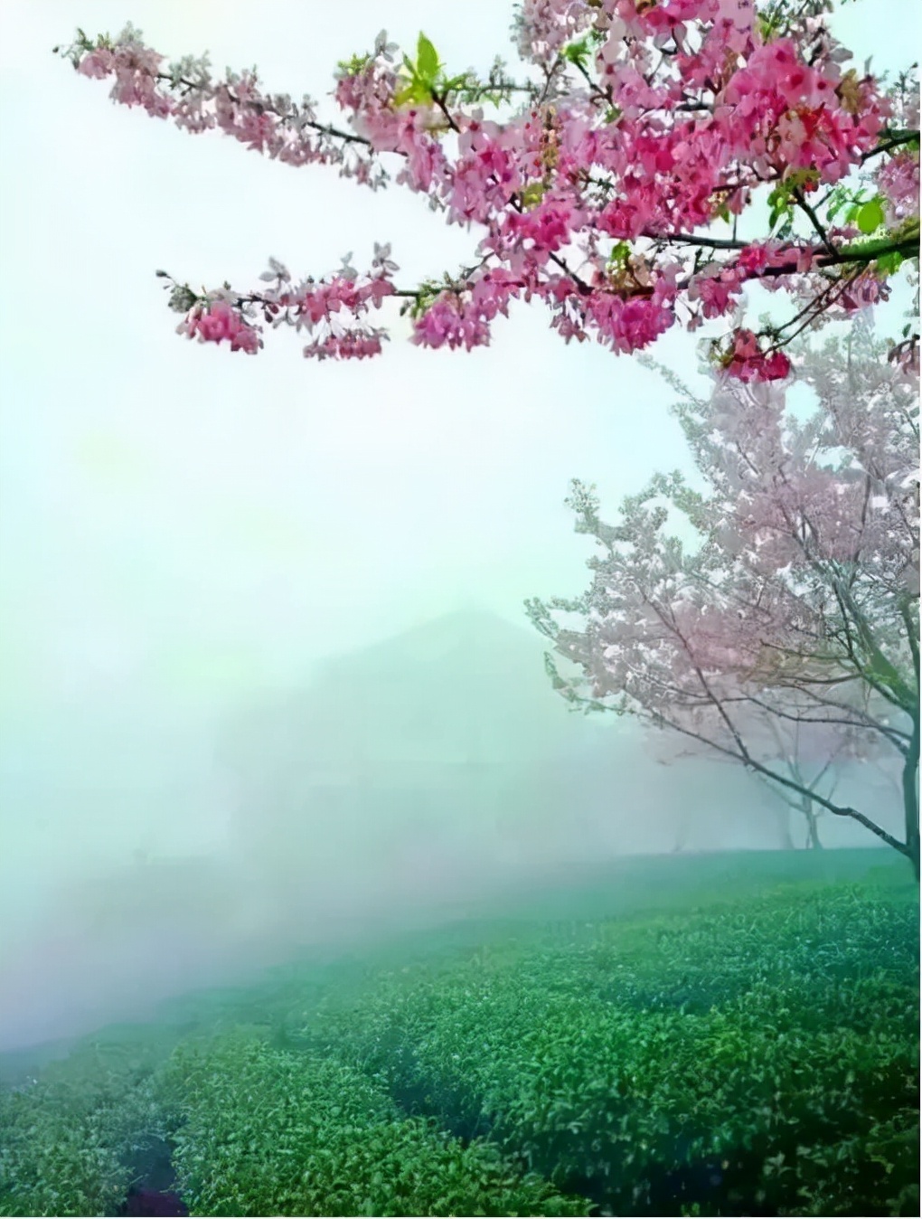 震撼！看了祖国这样的大好河山，谁不想保卫？