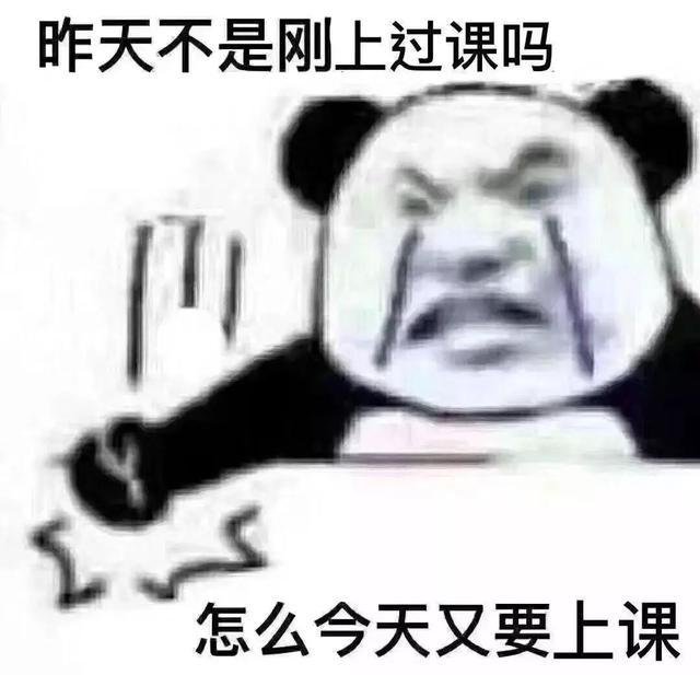 熊猫头表情包合集｜花钱的活动不要叫我