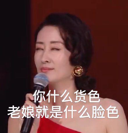 刘敏涛表情包合集你算个什么东西