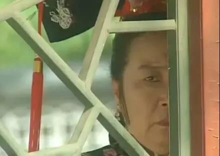 拿下李云迪，世界第五大情报组织“朝阳群众”的成神之路