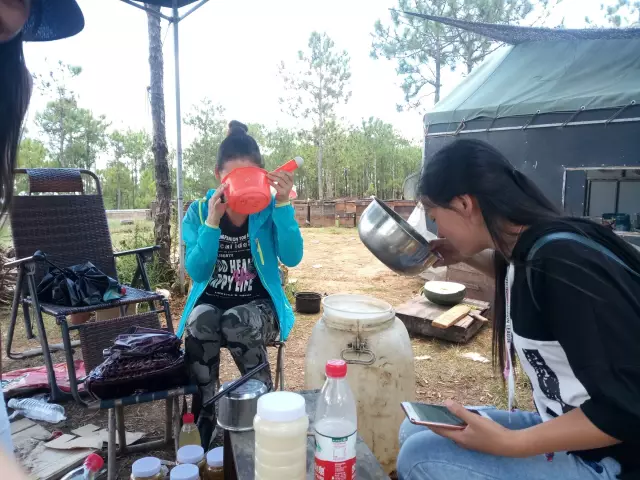 大地花间，随遇而安，养蜂人——追花寻蜜，做世间最美的旅者