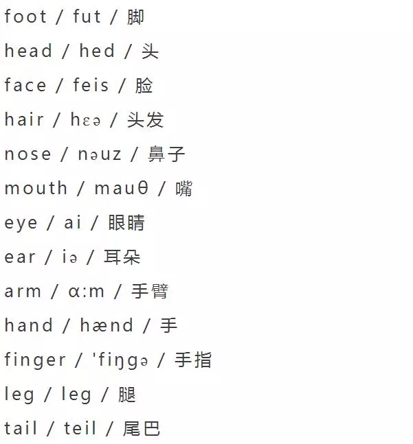 小学英语单词分类大全（附音标）