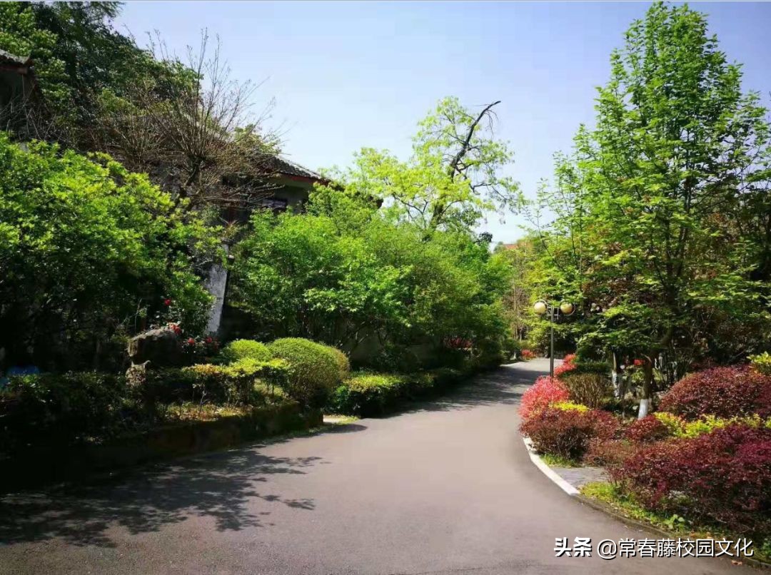 重庆校园文化建设丨弘道养正，旗开德胜—红旗中学环境景观设计