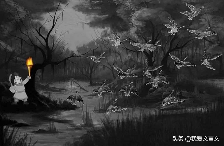 经典文言文赏析 | 泽人网雁